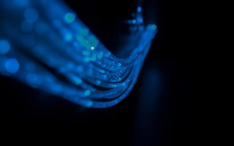 饲料原料申请专利要求有哪些内容