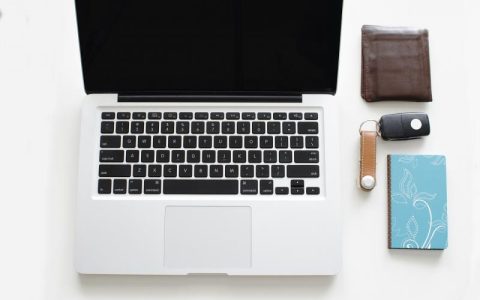 商标申请时，我有哪些选项可供选择？