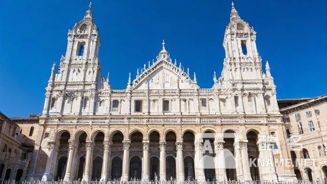 尼斯分类系统是如何定义和划分的？