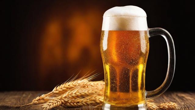 注册啤酒品牌需要多少钱？