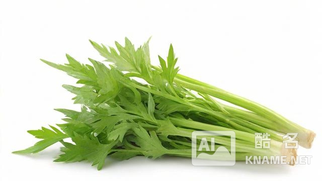 艾产品属于多少类商标