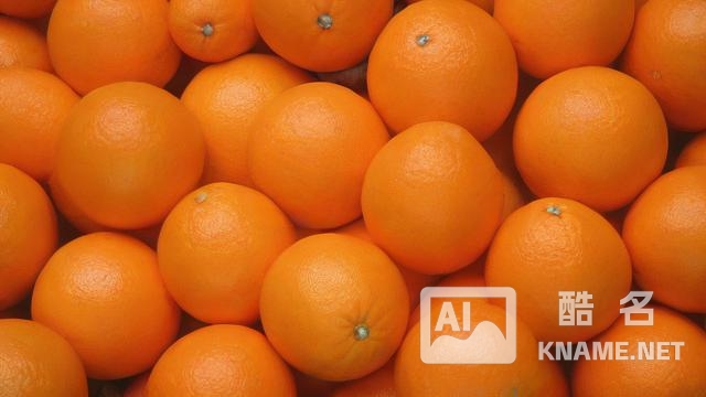 哪些商品必须进行注册？