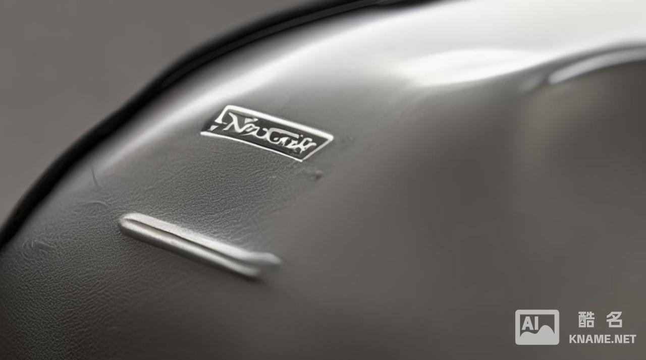 直白型，鞋子在商标分类里究竟属于哪一类呢？，鞋子对应的商标具体是在第几类呀？，引导好奇型，想知鞋子的商标归属第几类？快来揭秘！，好奇鞋子商标是哪一类？答案等你来揭晓！