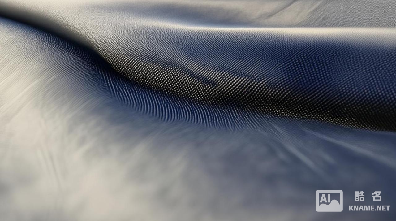 什么衣服商标像个帆