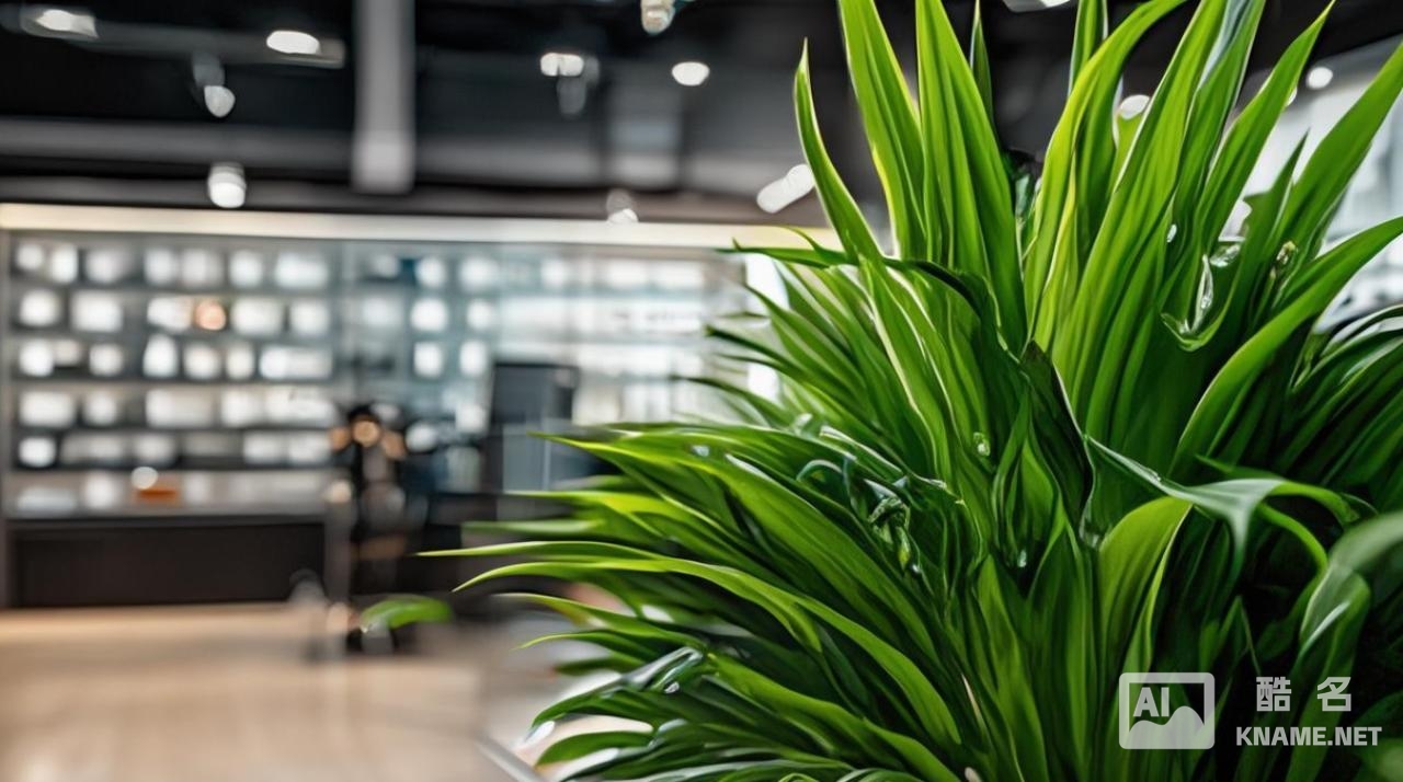 花店商标注册在哪一类