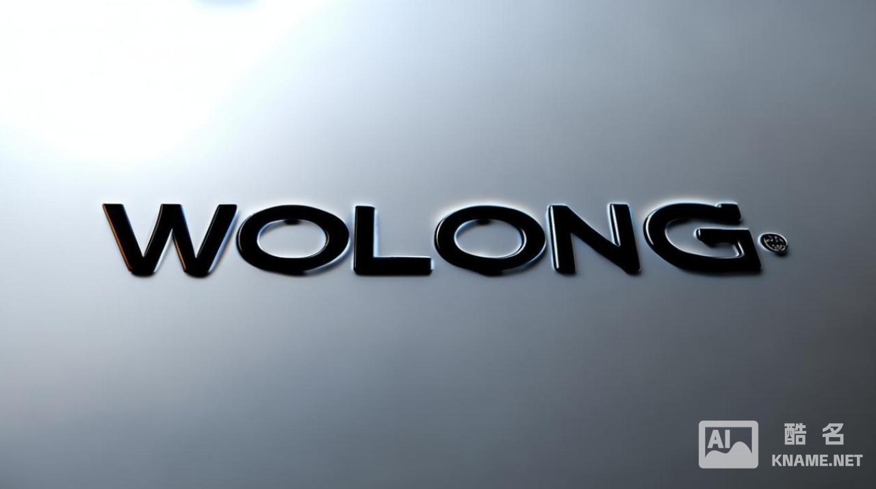 注册商标WOLONG是什么鞋