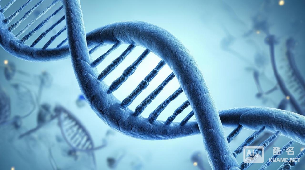 华生发明了什么东西