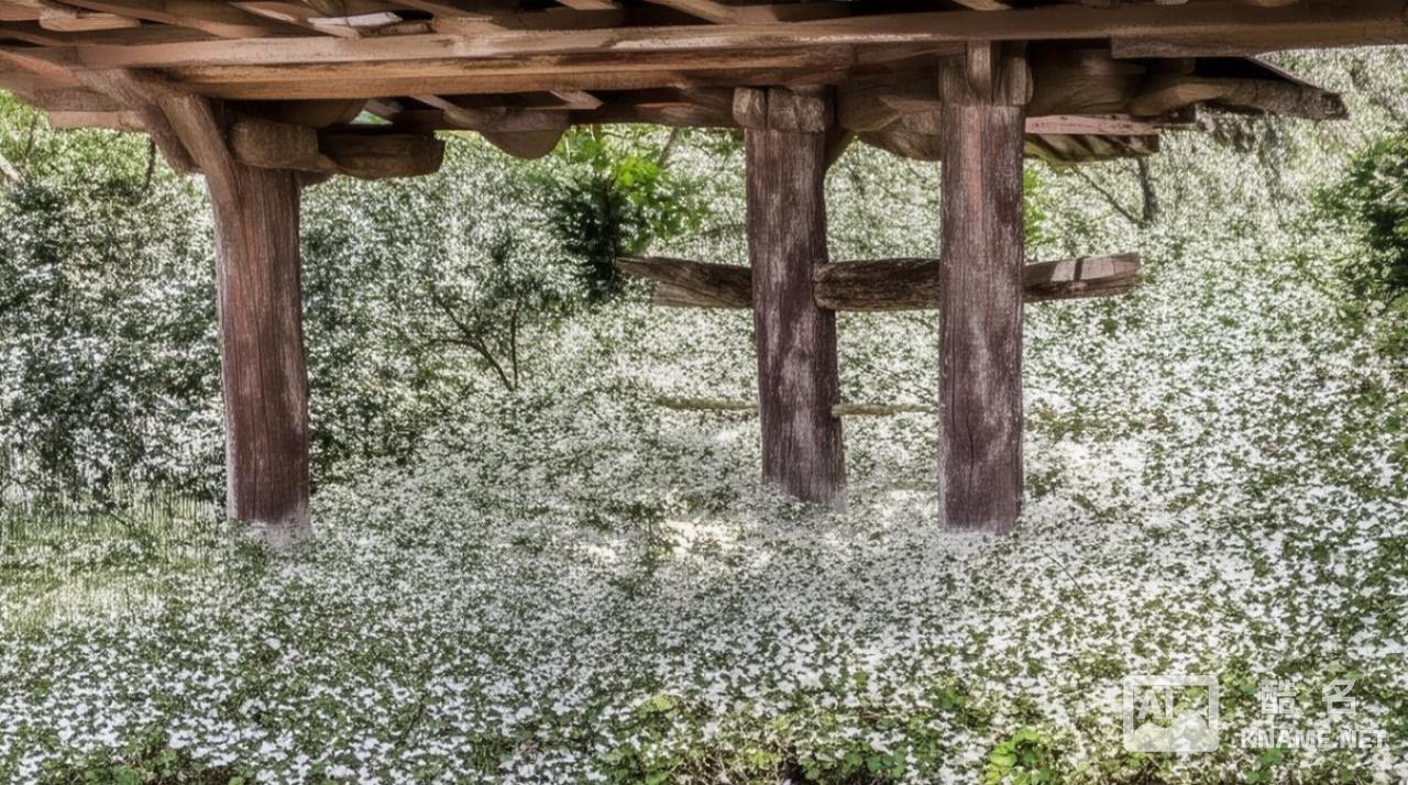 专利注销需要什么手续