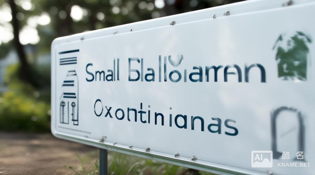 小升规有什么条件