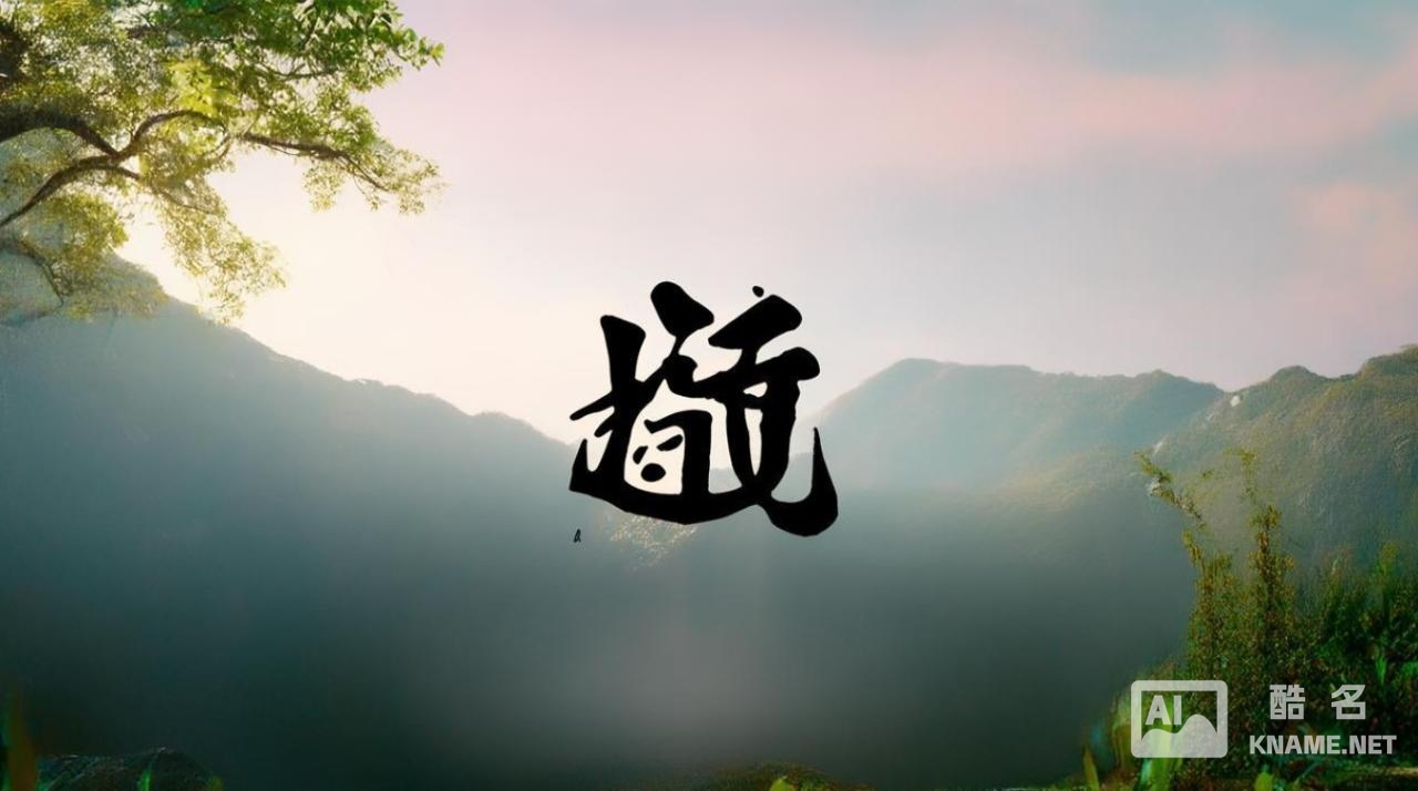 黔善堂商标注册