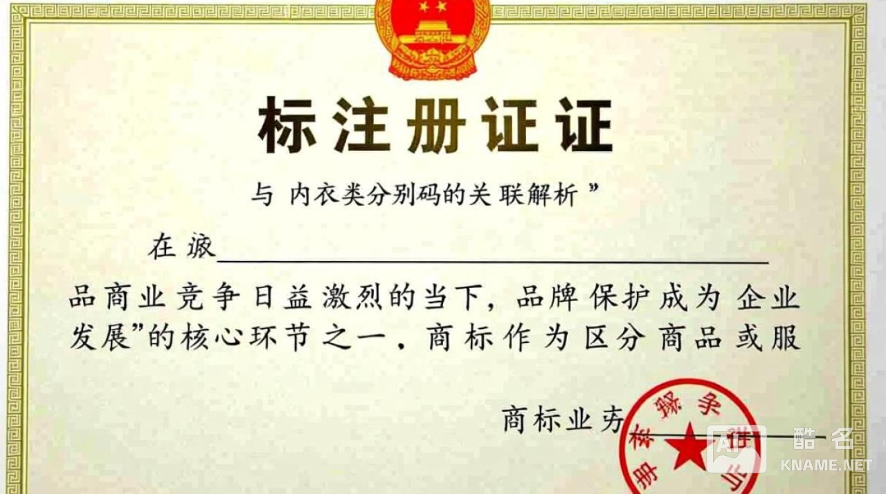 商标注册证内衣类分类码是什么？