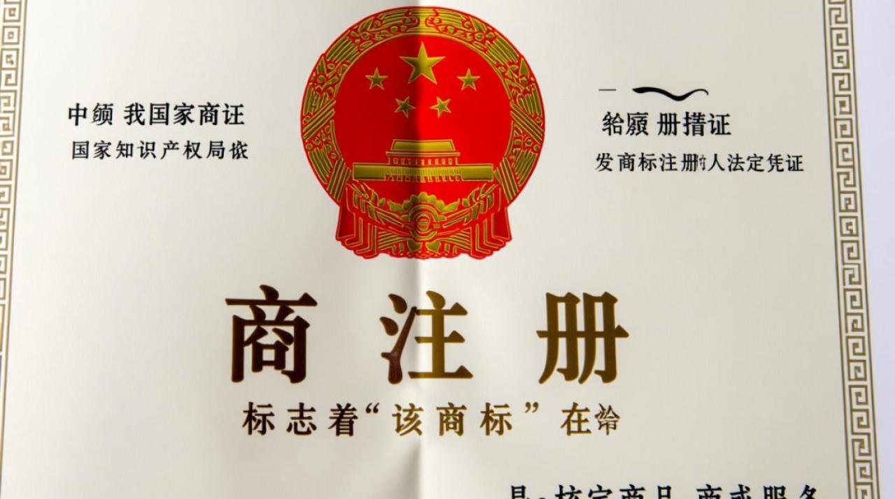 如何查询中国国家商标注册证的办理进度？