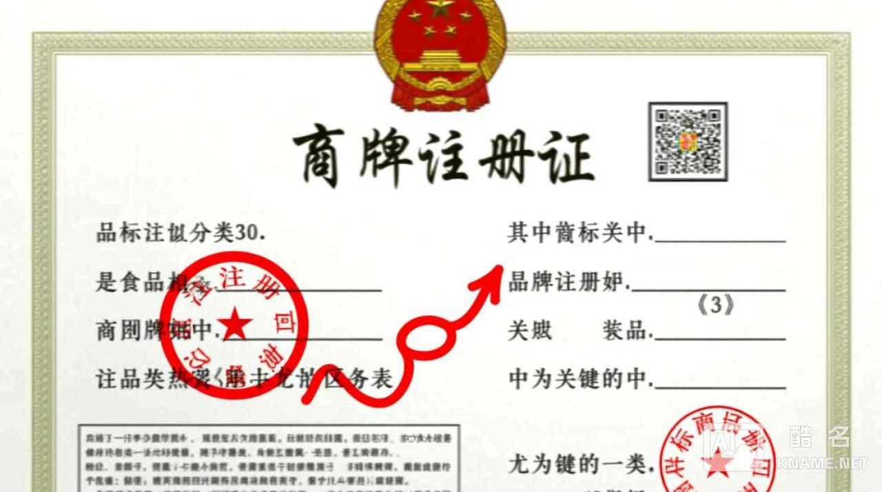 商标注册证分类30具体包含哪些食品类别？