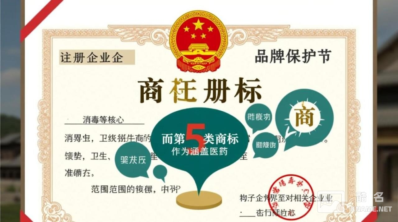 商标注册第5类具体包括哪些商品或服务？