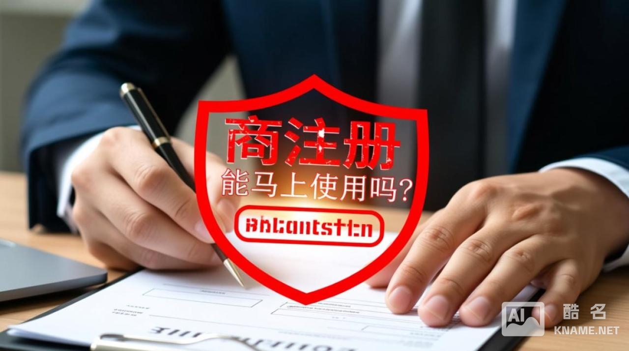 商标注册后多久才能正式使用？