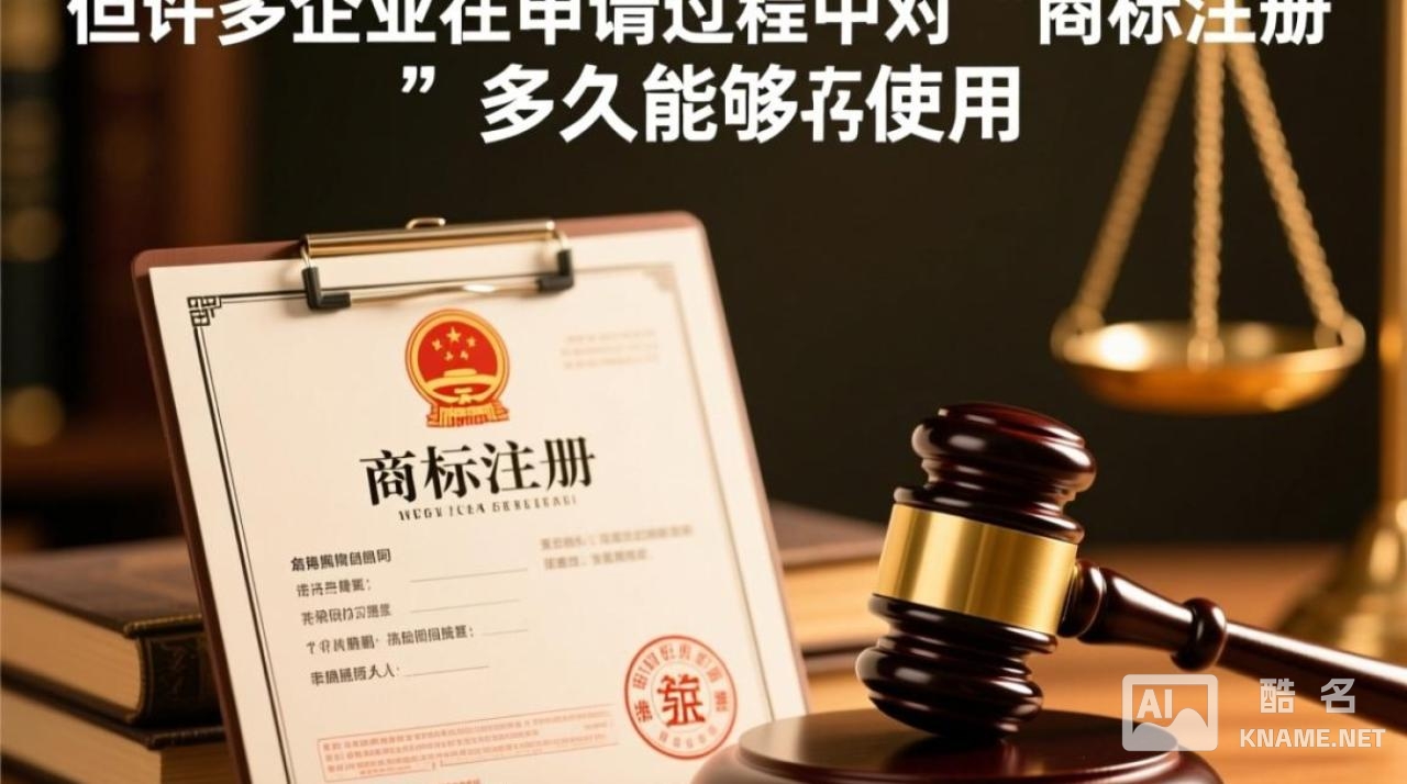 商标注册后多久能正式投入使用？