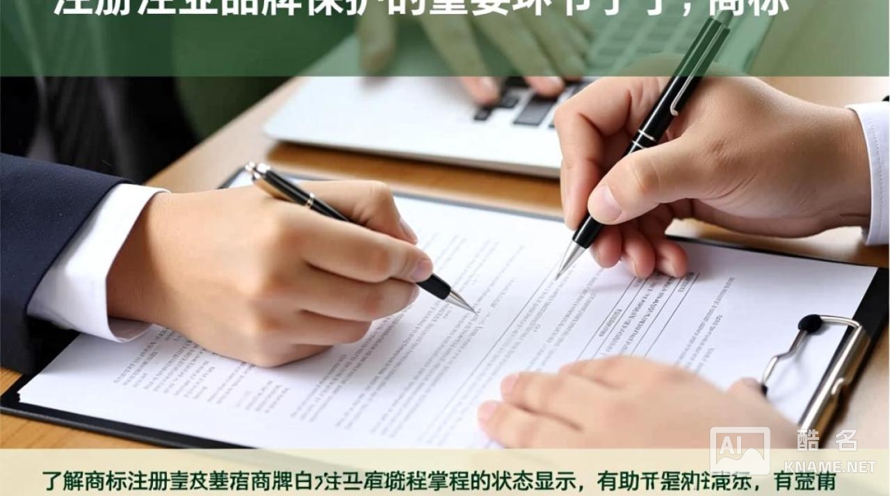 商标注册流程状态显示哪里看？显示不同状态分别代表什么？