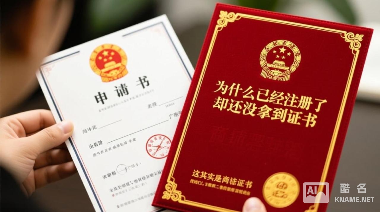 商标注册已受理但未发证，多久能拿到证？