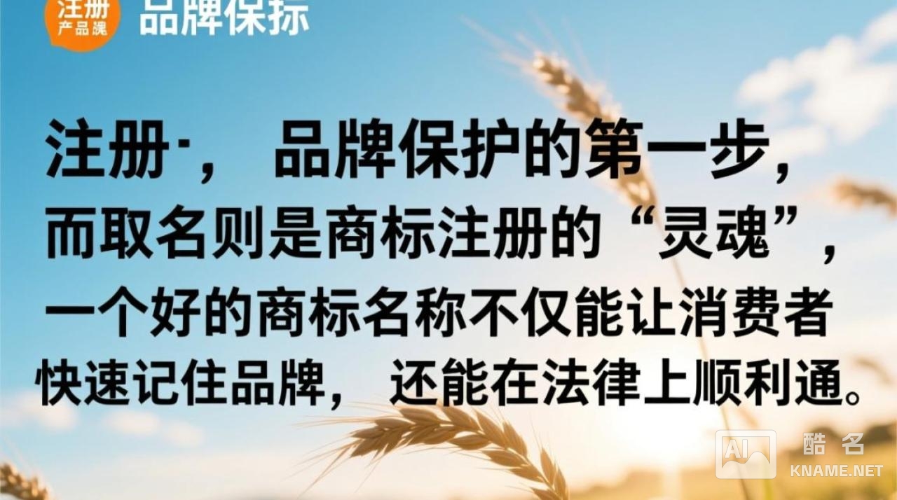 商标注册取名要注意什么？有哪些常见误区？