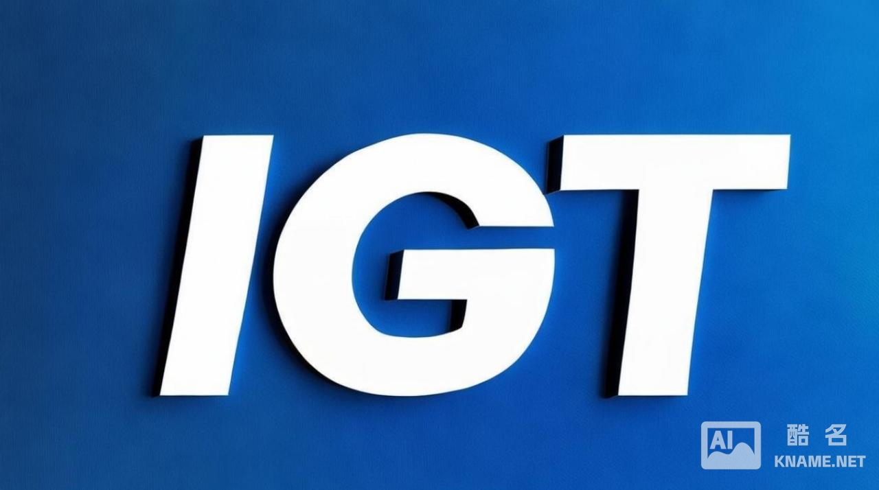 igt商标在知识产权保护方面有哪些具体疑问和挑战？